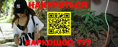 шишки Отрадное