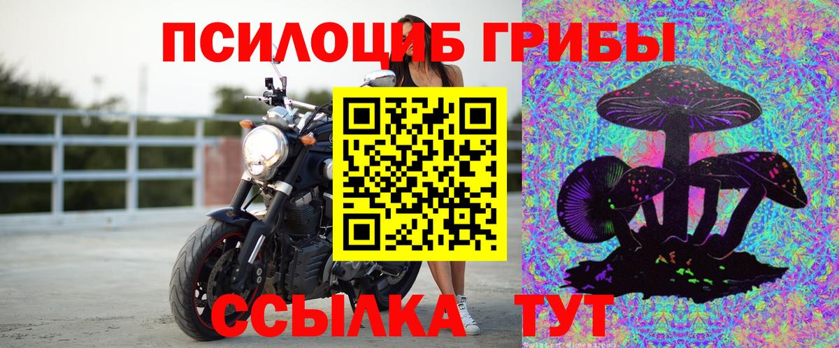 Галлюциногенные грибы GOLDEN TEACHER  Вход с VPN  цена наркотик  Галлюциногенные грибы прущие грибы  Котельники 